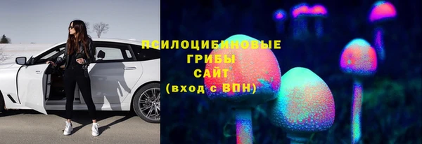 амфетамин Алексеевка