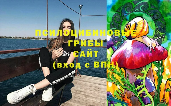 амфетамин Алексеевка