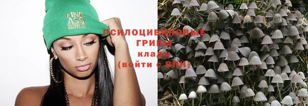 эйфоретик Алексин