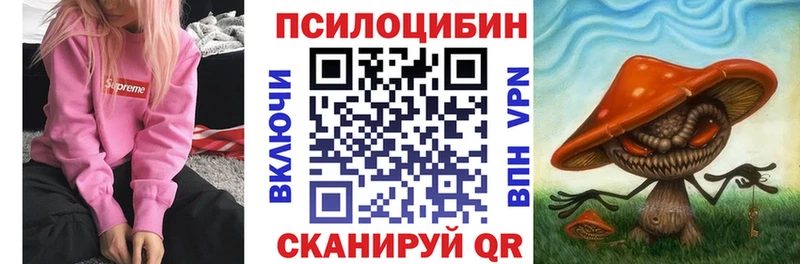 Псилоцибиновые грибы Psilocybe Верхоянск