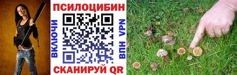 Псилоцибиновые грибы Psilocybe  Верхоянск 